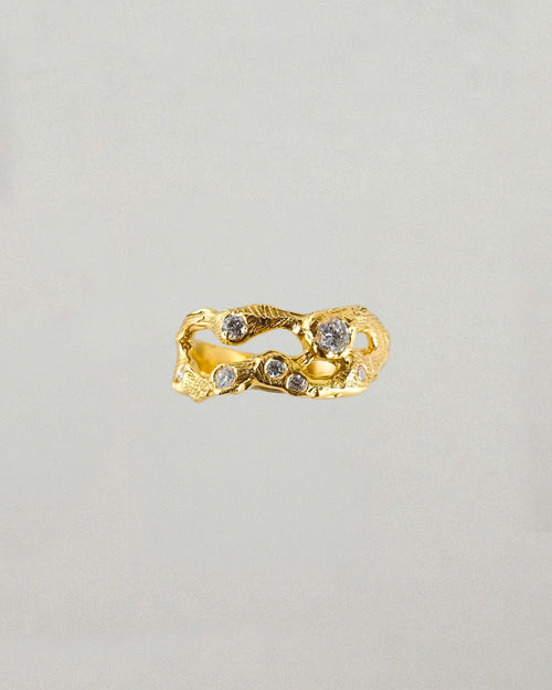 Bague N°4